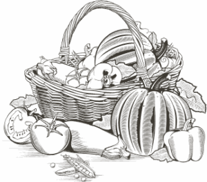 Illustration eines Gemüsekorbs